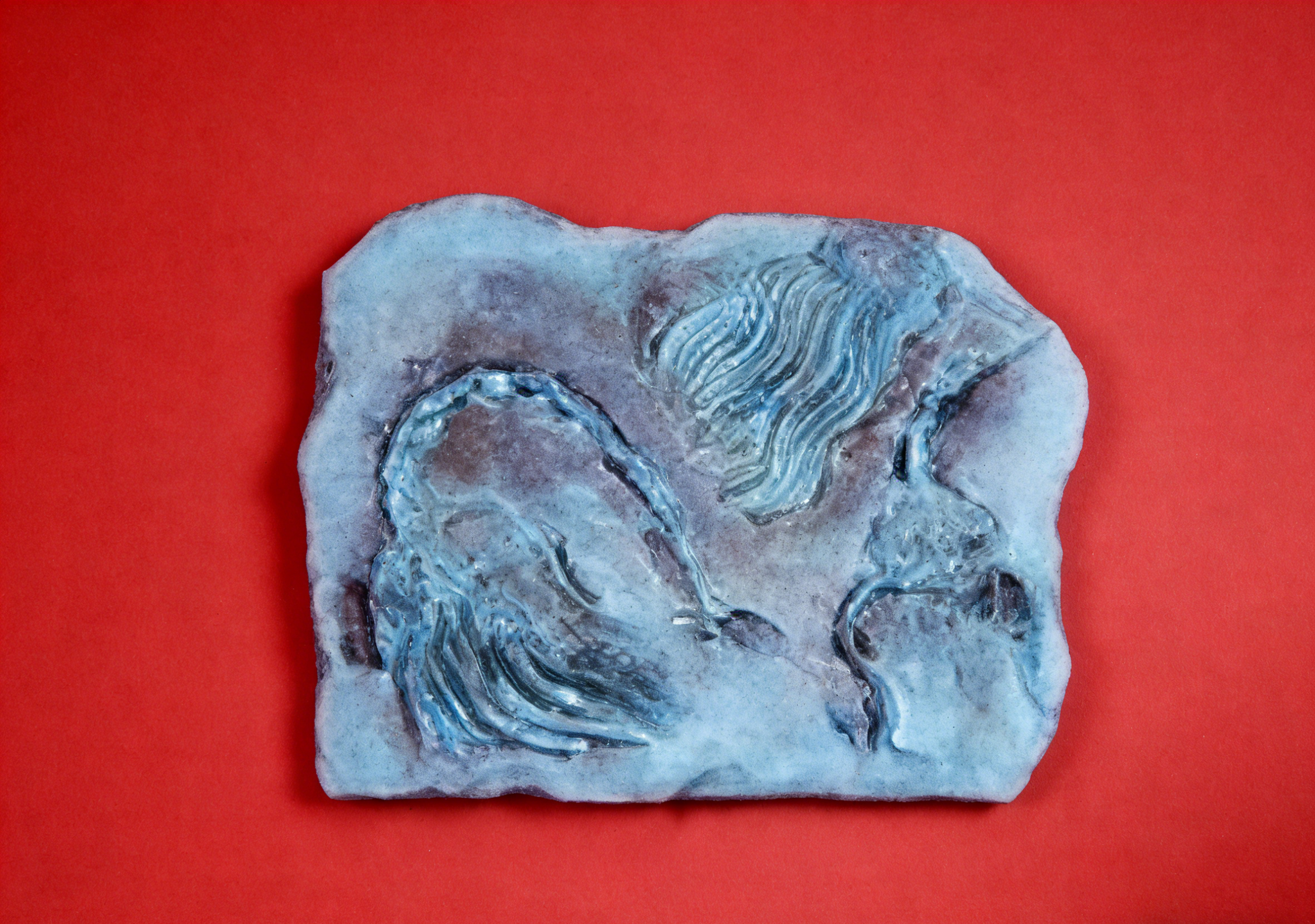 Fossil-Inspired Wall Plaque | 43×5×32.5 CM | Rustic Home Decor Accent 🪨