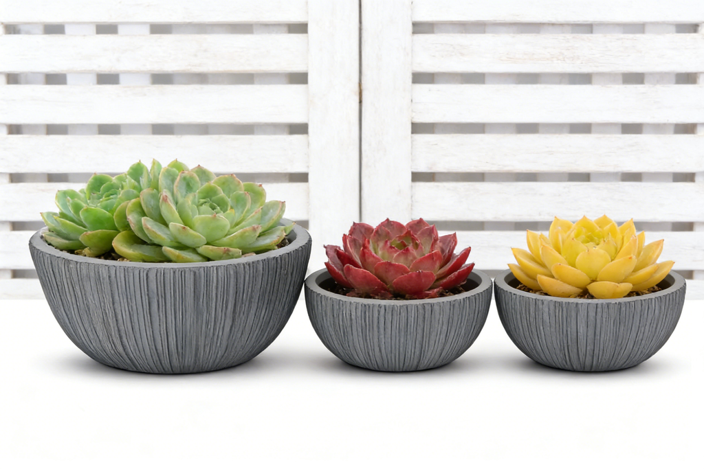Heart Soars Textured Bowl Planters Set, Gray, Magnesium Oxide Material, 3 Pack, 11.4", 14.4", 16.9" Diameter