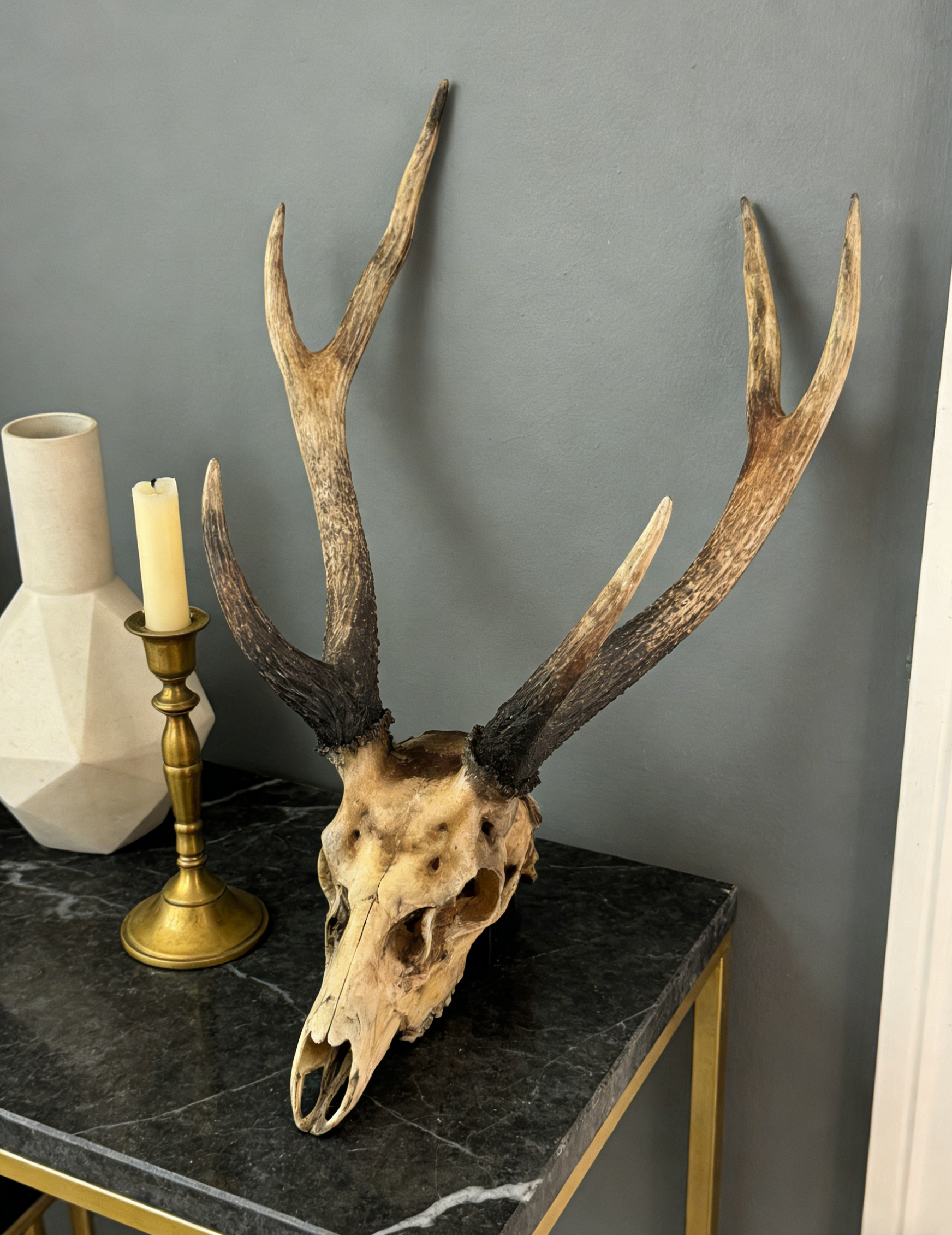 Deer Skull Antler Wall Hanging | 41×23×70.5 CM | Rustic Cabin & Boho Home Decor 🦴