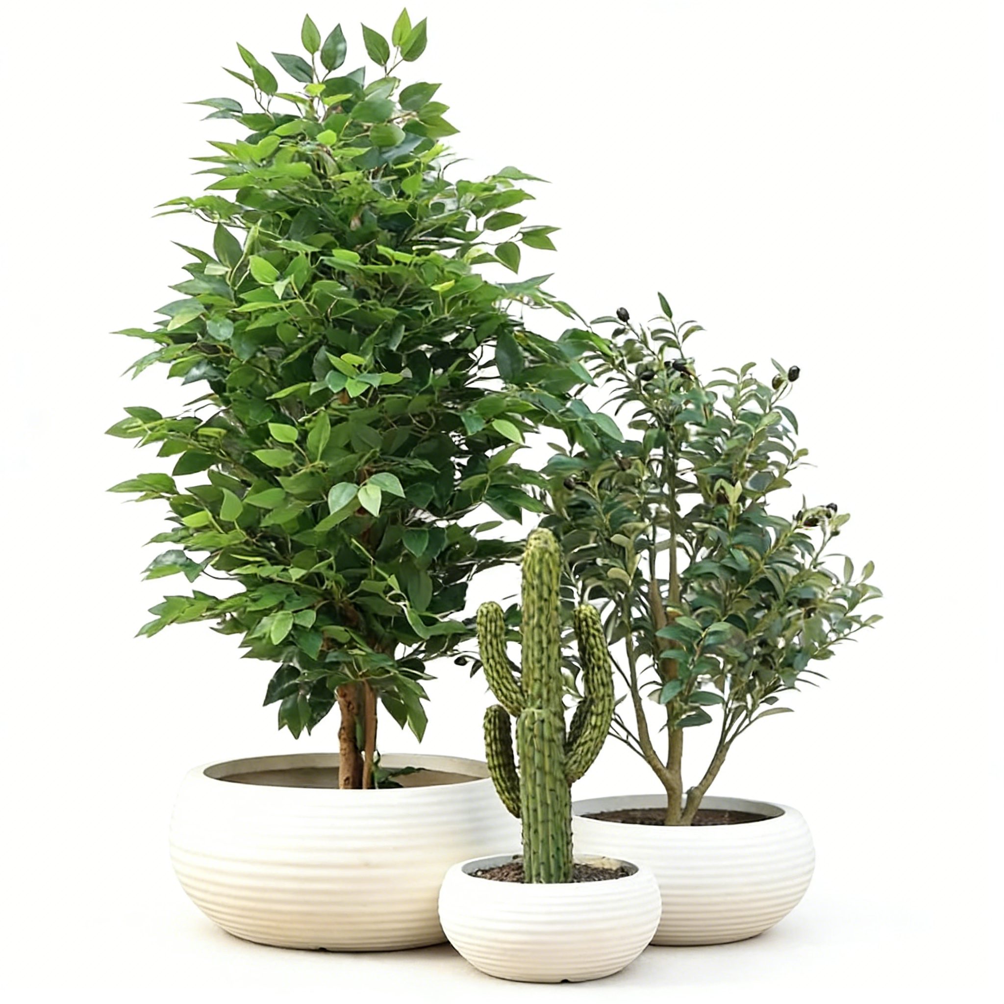 Heart Soars Round Planter Pots Set of 3, White, Magnesium Oxide Material, Low Profile Design, 12", 16.5", and 21.6" Diameters