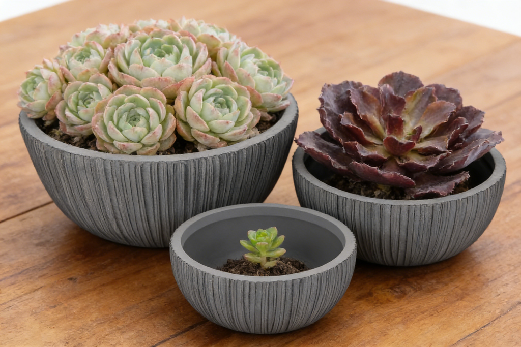 Heart Soars Textured Bowl Planters Set, Gray, Magnesium Oxide Material, 3 Pack, 11.4", 14.4", 16.9" Diameter