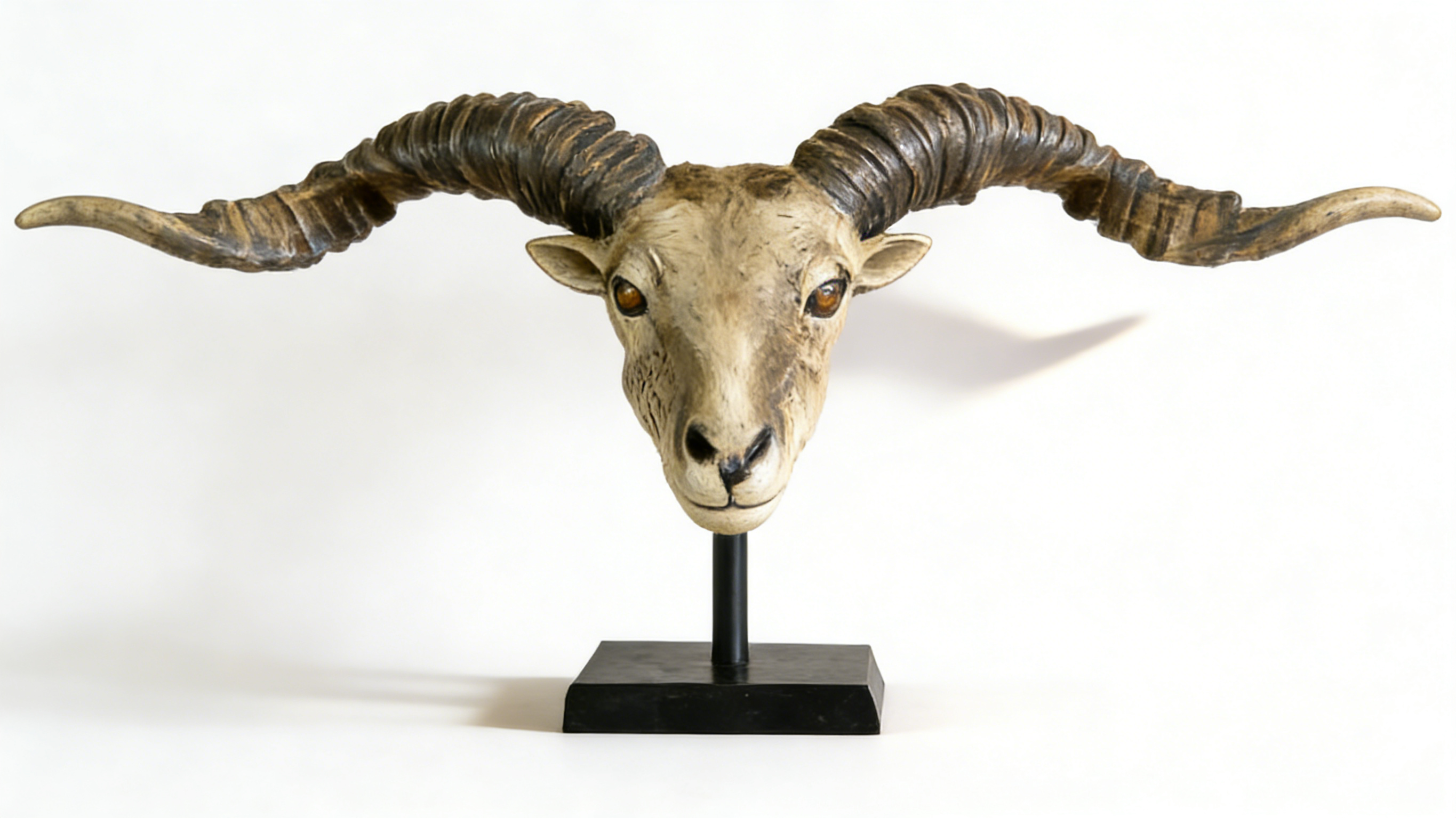 Heart Soars Ram Head Sculpture Decorative Figurine with Long Horns, Resin Craft Ornament on Black Base, 98x13x42cm